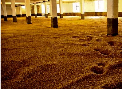 malting-0.jpg